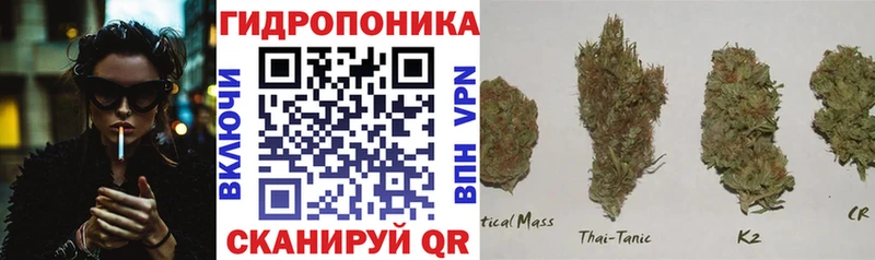 Где можно купить наркотики Барабинск СК  ГАШИШ  АМФ  Cocaine 