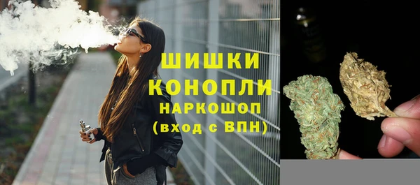 гидра Баксан