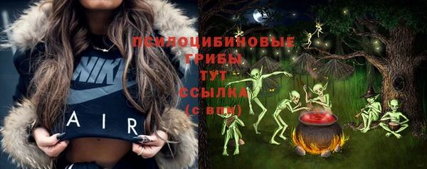 гидра Баксан