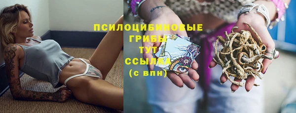 винт Балахна